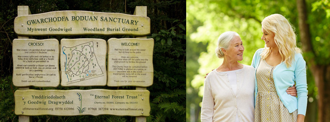 Arwydd Gwarchodfa Boduan Sanctuary